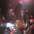 十八logging - 红