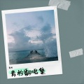 青柠 - 为你所困