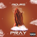 Figure - PRAY
