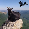 The Wodka - Catch Your Soul