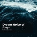 Dream Noise of River