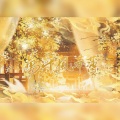 酥柚Suyoo、云祁、月亮上的人、月大书、醉花间、冉尘瑶、沐枫、画影 - 万千风华簿