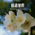 王佳莉 - 美好的满足