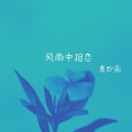 袁妙菡 - 其实我爱你