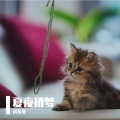 宋东义 - 单车
