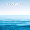 Calm Sea Sounds
