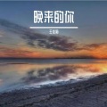 王佳莉 - 浪漫与精致