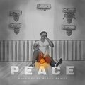 Freemen、Thrill - Peace (feat. BiBo & Thrill)