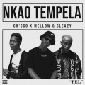 Nkao Tempela (Explicit)