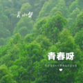 吴小蟹 - 傻瓜