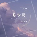 真永远 (吉他版)