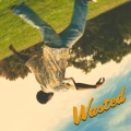 Wasted (Explicit)