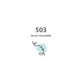 503 (Explicit)