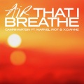 Air That I Breathe