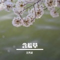 王佳莉 - 厮守到老