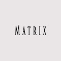 Matrix (feat. Artemistic)