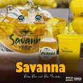 Savanna (feat. Bow Mrfantastic)