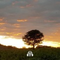 8D、Dopinion - Mr. Dini (Dopinion Remix)