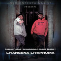 Deejay Soso、Skandisoul、Cosmo Black - Liyangena Liyaphuma