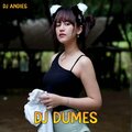 DJ Andies - DJ Dumes Slow