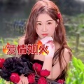 刘心宇 - 爱情如火