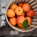 良丽 - 云海雾散