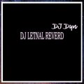 DJ DyN、DJ SASA - Dj Letnal Reverd.