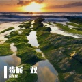 宋东义 - 步履一双