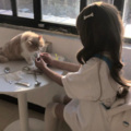 宝藏钢琴猫猫.