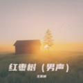 王雨枫 - 红枣树 (纯音乐)