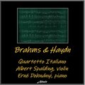 Brahms & Haydn