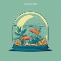 MyceliumBug、ENRA - Planted Aquarium
