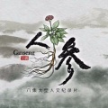 张浚鹏 - F 《人参Ginseng》古琴与萧