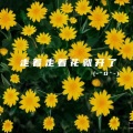 走着走着花就开了 (DJ吉他版)