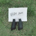 V - Winter Bear