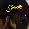 Señorita (feat. Leonardo Farah L.M.C Nael & Elark)(Hue, Max Ventura & Ano7her Remix|Explicit)