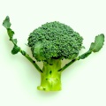 Broccoli On My Plate