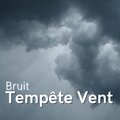 Bruit Tempête Vent