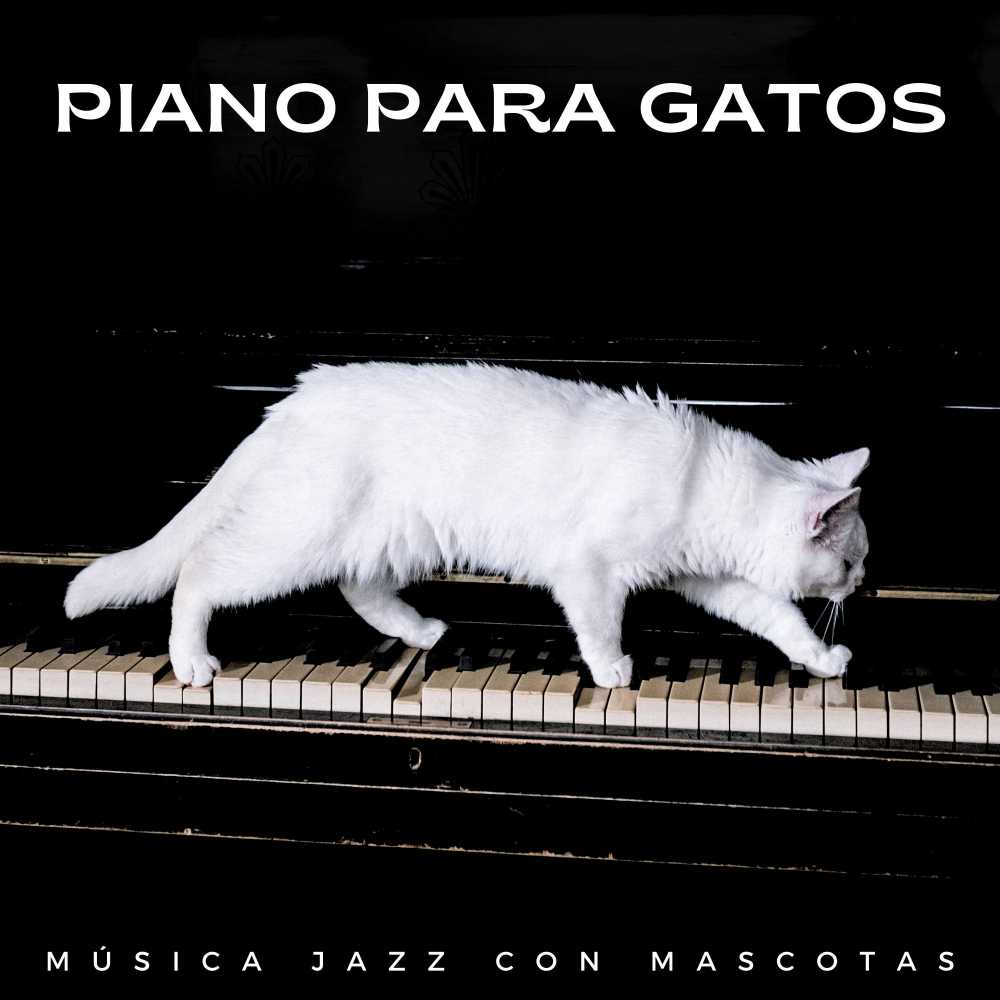 Gato de piano、Jukebox de música de gato、Música Relajante para Gatos - Dúo De Perros