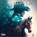 Stallion (feat. Felo Le Tee Mellow & Sleazy)