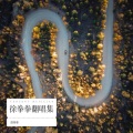 徐拳拳 - 走过咖啡屋