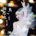 那片相思地