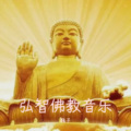 巍子 - 三皈依