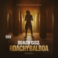 Roach Gigz、Iamsu! - It's Lit