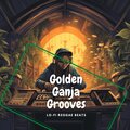 Golden *** Grooves