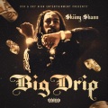 SkiinyShann - Big Drip Big Diamonds
