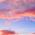 森屿爱唱歌 - Always