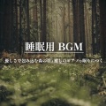 ALL BGM CHANNEL、MASAYAN - 森 Part4