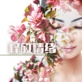 治愈系音乐大师 - 鲸鱼