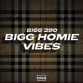 Bigg Homie Vibes (Explicit)